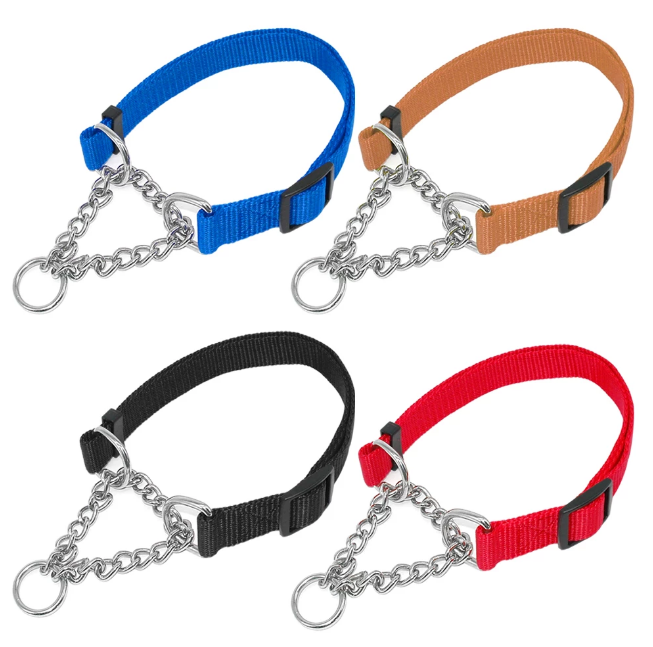 dog training collars