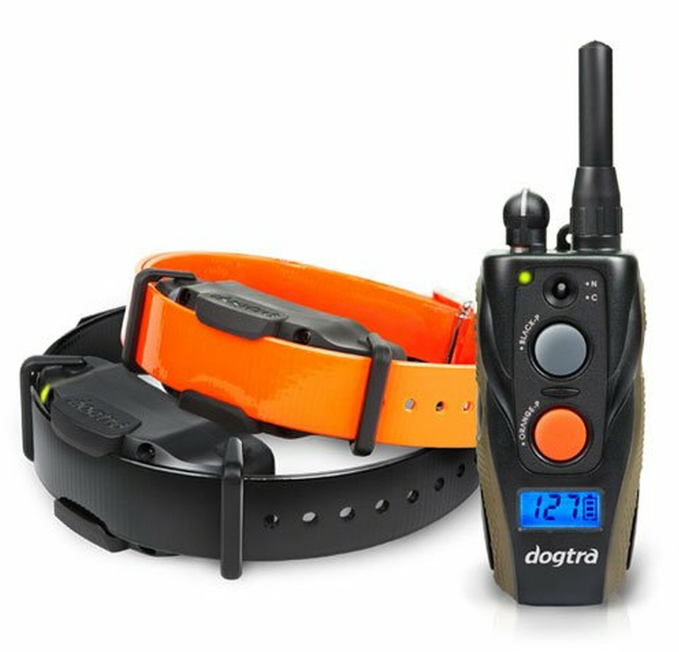 electric dog collar