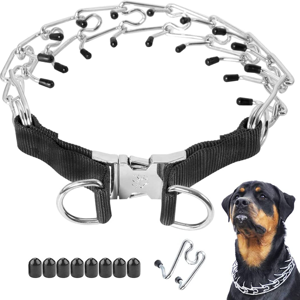 dog training collars