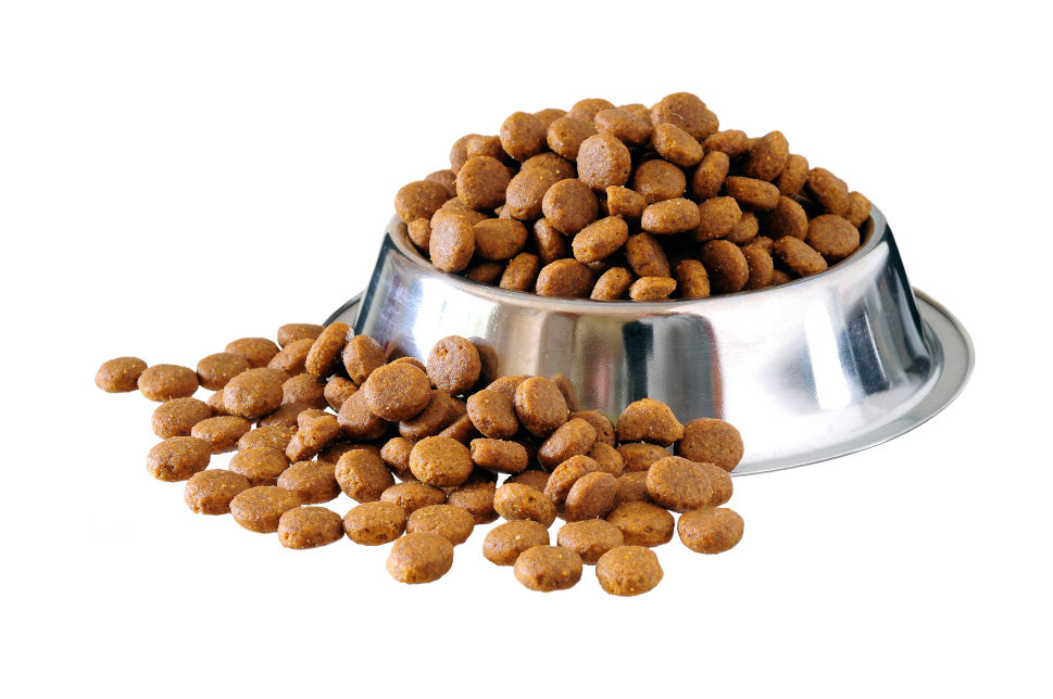 Best Dog Food For Anxiety Dog Food For Anxiety 2021