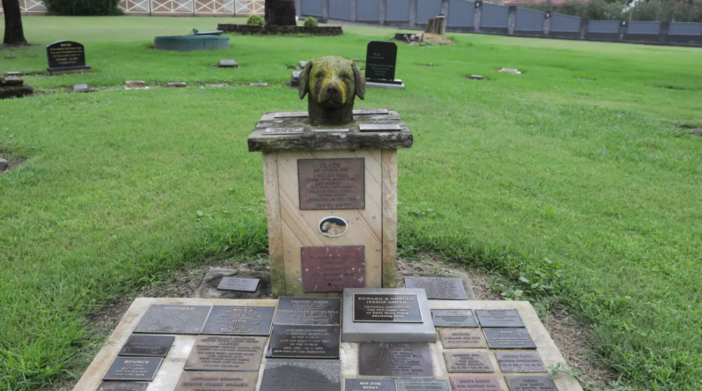 pet cemetery Brisbane