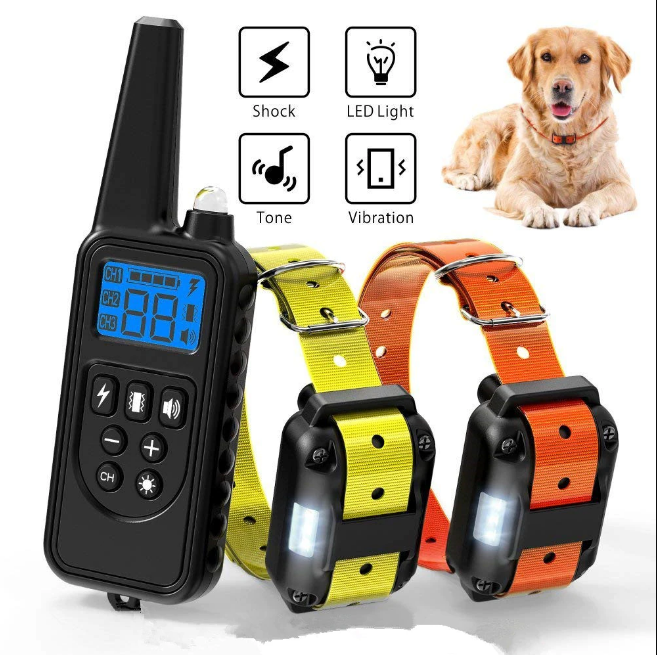 dog training collar