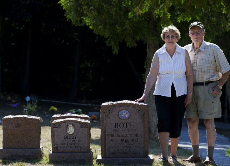 Pet Cemetery