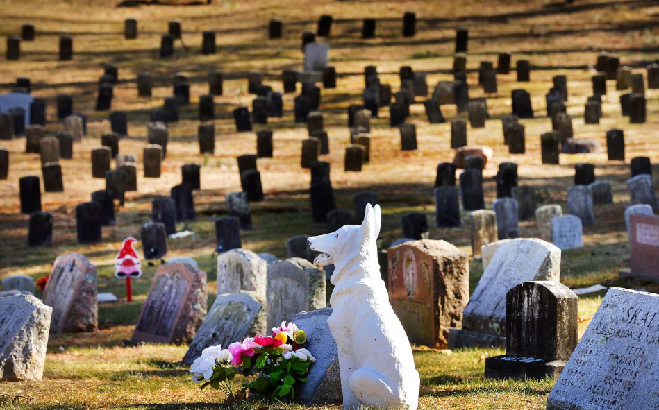 pet cemetery