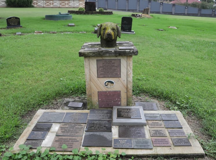 Brisbane Dog Cremation